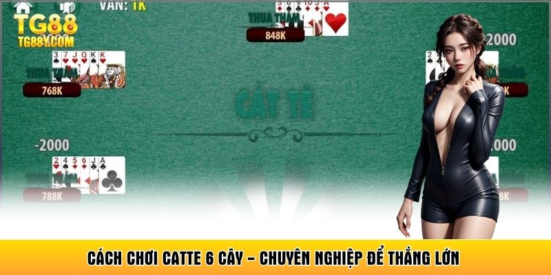 Cách Chơi Catte 6 Cây - Chuyên Nghiệp Để Thắng Lớn