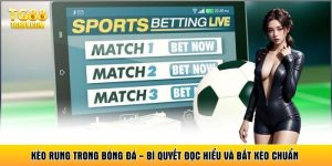 Kèo Rung Trong Bóng Đá - Bí Quyết Đọc Hiểu Và Bắt Kèo Chuẩn