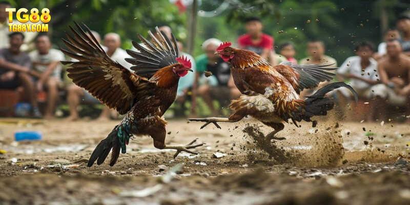 Chiến thuật giúp tân binh nâng cao tỷ lệ thắng