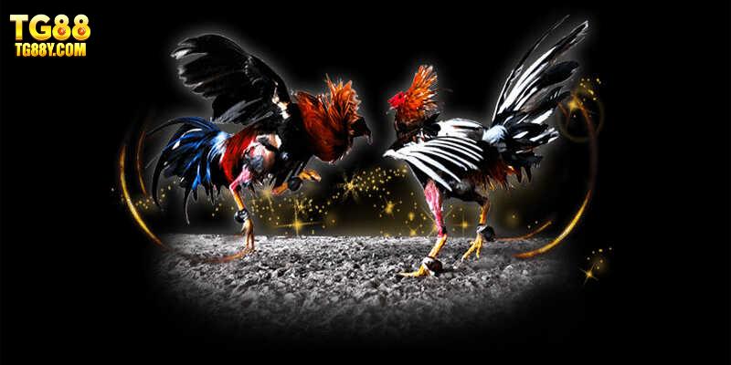 Tổng hợp các loại kèo đặt cược phổ biến