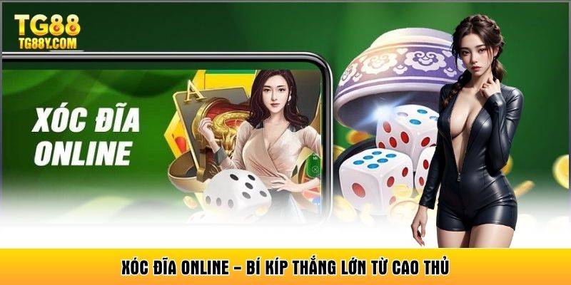 Xóc Đĩa Online - Mẹo Chơi Dễ Ăn Từ Chuyên Gia